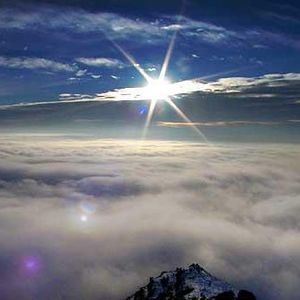 Meet your Posher, Paco